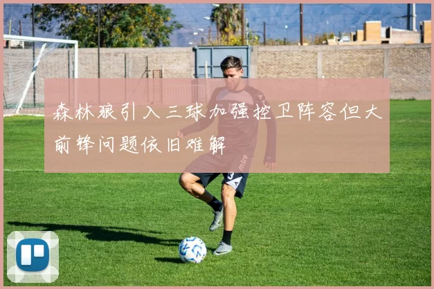森林狼引入三球加强控卫阵容但大前锋问题依旧难解